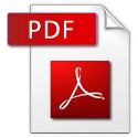 pdf file